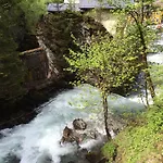 Pension-greimelbacherhof Casa de hóspedes Ramsau am Dachstein