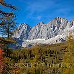 Casa de hóspedes Pension-greimelbacherhof Ramsau am Dachstein
