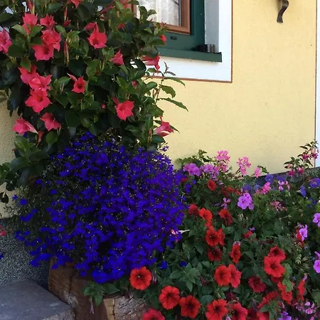 Pension-Greimelbacherhof Guest house