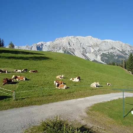 Pension-Greimelbacherhof Guest house 3*