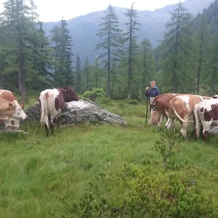 Pension-greimelbacherhof Gasthuis Ramsau am Dachstein