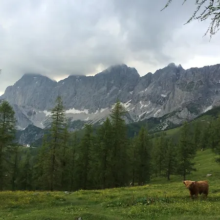 Pension-greimelbacherhof Gasthof Ramsau am Dachstein