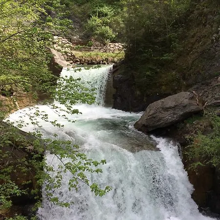 Pension-Greimelbacherhof 3*