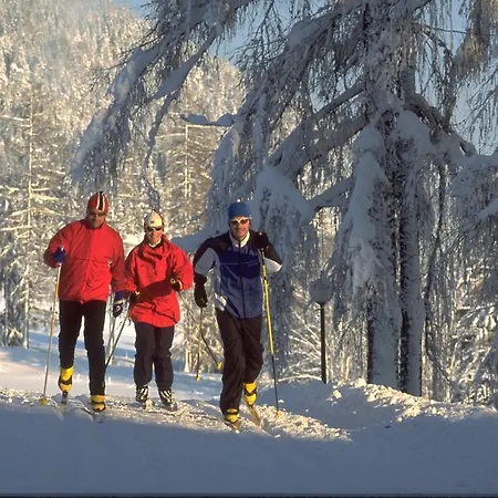 Pension-Greimelbacherhof Ramsau am Dachstein