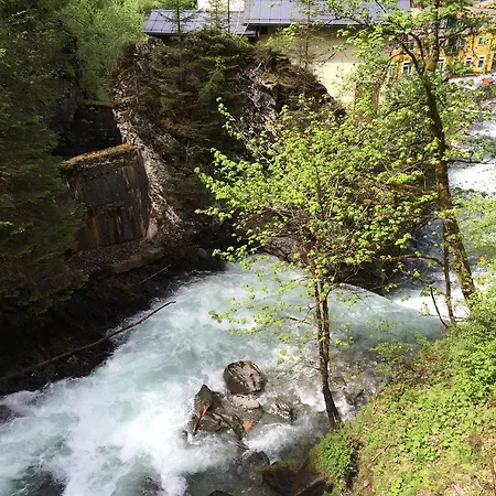 Pension-greimelbacherhof Gasthof Ramsau am Dachstein