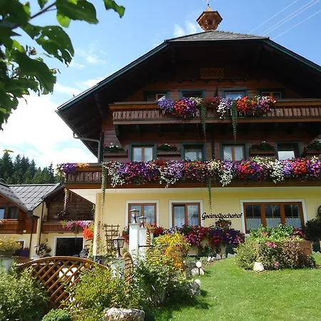 Guest house Pension-Greimelbacherhof 3*