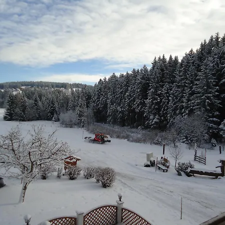 Pension-greimelbacherhof 3* Ramsau am Dachstein