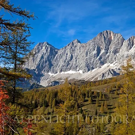 Pensión Pension-greimelbacherhof Ramsau am Dachstein