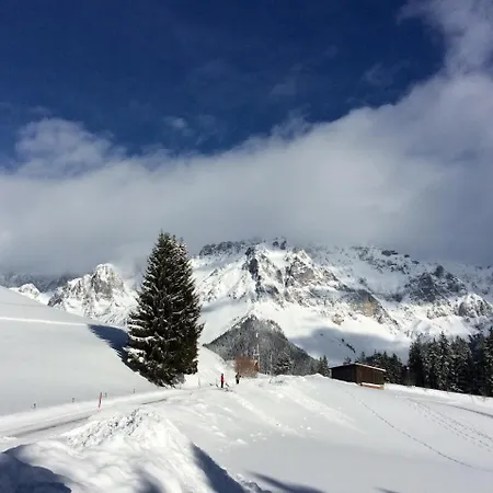Guest house Pension-Greimelbacherhof Ramsau am Dachstein