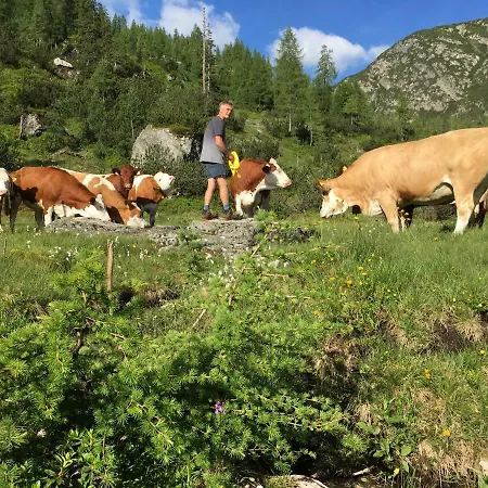 Guest house Pension-Greimelbacherhof