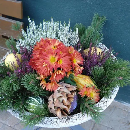 Gasthuis Pension-greimelbacherhof