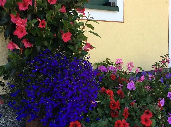 Pension-greimelbacherhof Affittacamere