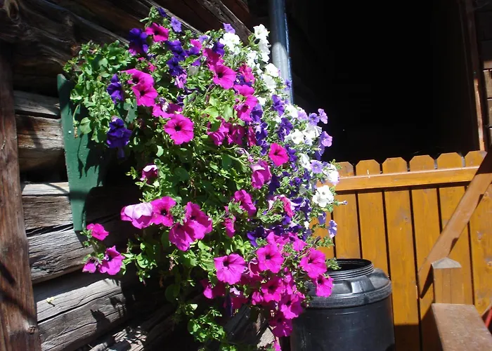 Affittacamere Pension-greimelbacherhof Ramsau am Dachstein