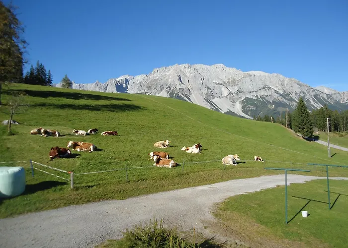 Pension-greimelbacherhof Affittacamere 3*