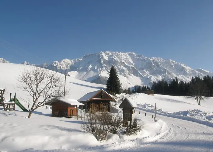 Pension-greimelbacherhof Pensión Ramsau am Dachstein