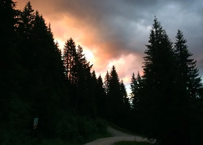 Pension-greimelbacherhof Affittacamere