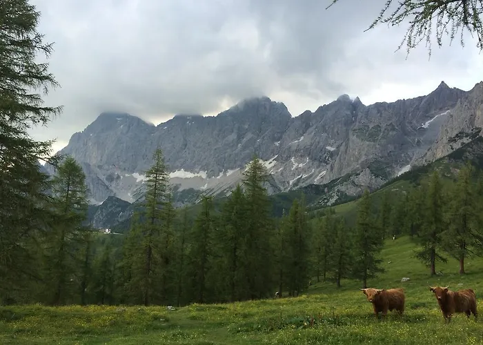 Pension-greimelbacherhof Affittacamere Ramsau am Dachstein