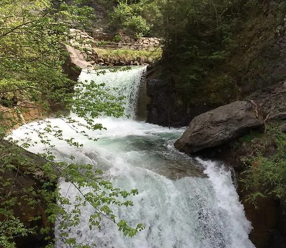 Pension-greimelbacherhof 3*