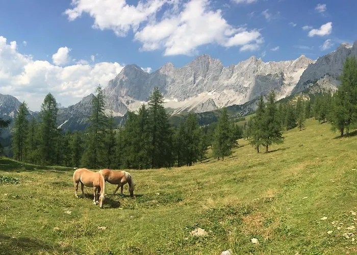 Pension-greimelbacherhof 3* Ramsau am Dachstein