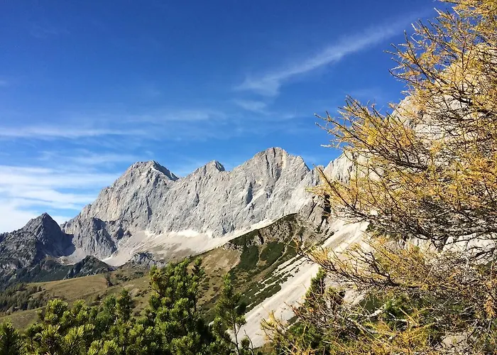 Affittacamere Pension-greimelbacherhof 3*