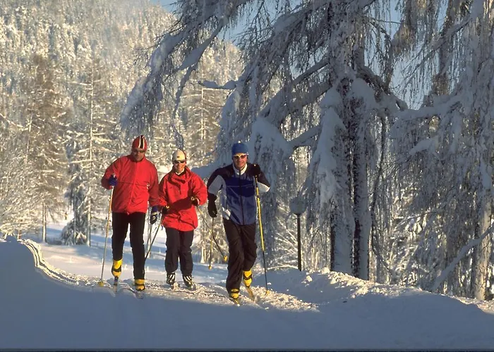 Pension-greimelbacherhof Ramsau am Dachstein