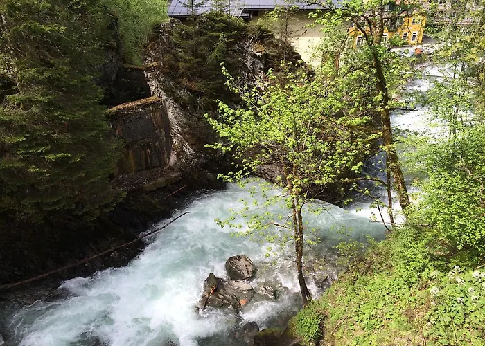 Pension-greimelbacherhof Pensión Ramsau am Dachstein