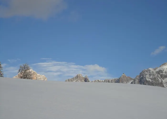 Pension-greimelbacherhof Ramsau am Dachstein