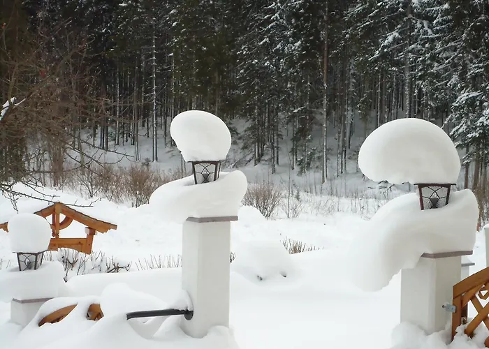 Pension-greimelbacherhof 3* Ramsau am Dachstein