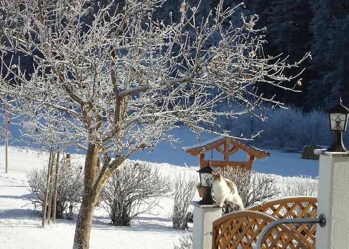 Pension-greimelbacherhof 3*