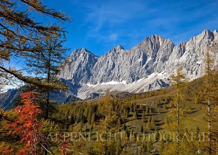 Affittacamere Pension-greimelbacherhof Ramsau am Dachstein