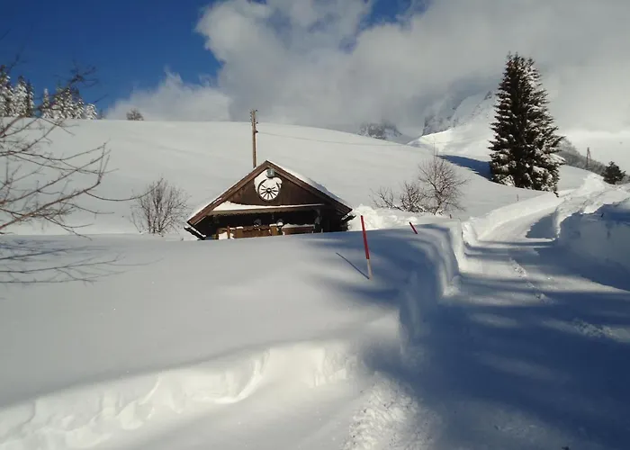 Pension-greimelbacherhof 3* Ramsau am Dachstein