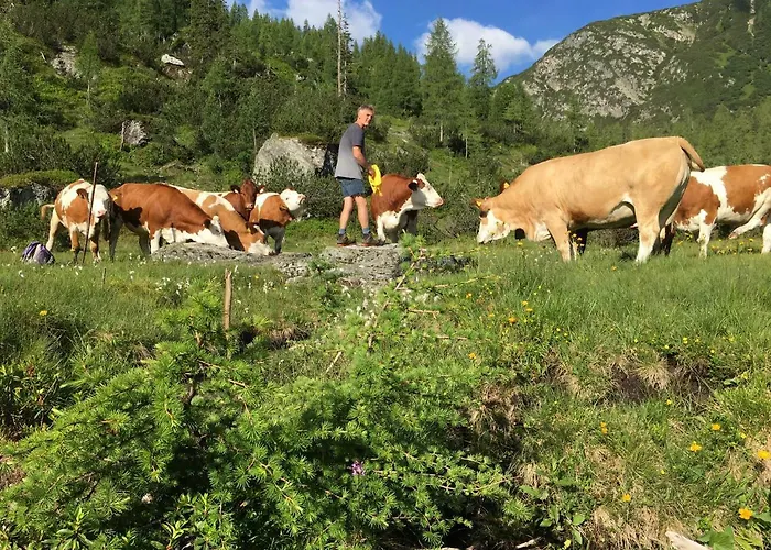 Pensión Pension-greimelbacherhof