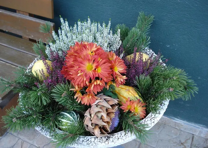 Affittacamere Pension-greimelbacherhof